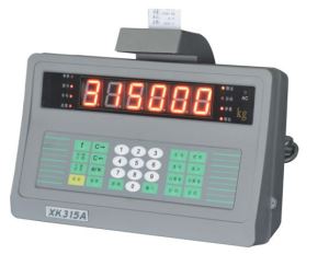 Camion scara Indicator T6-2